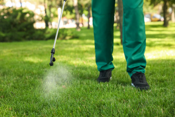 Best Emergency Pest Control  in Menahga, MN
