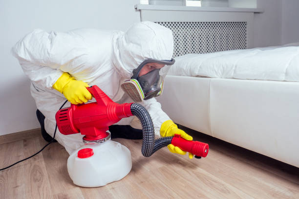 Best Exterminator Services  in Menahga, MN