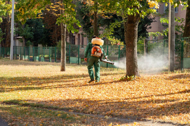 Best Local Pest Control Services  in Menahga, MN